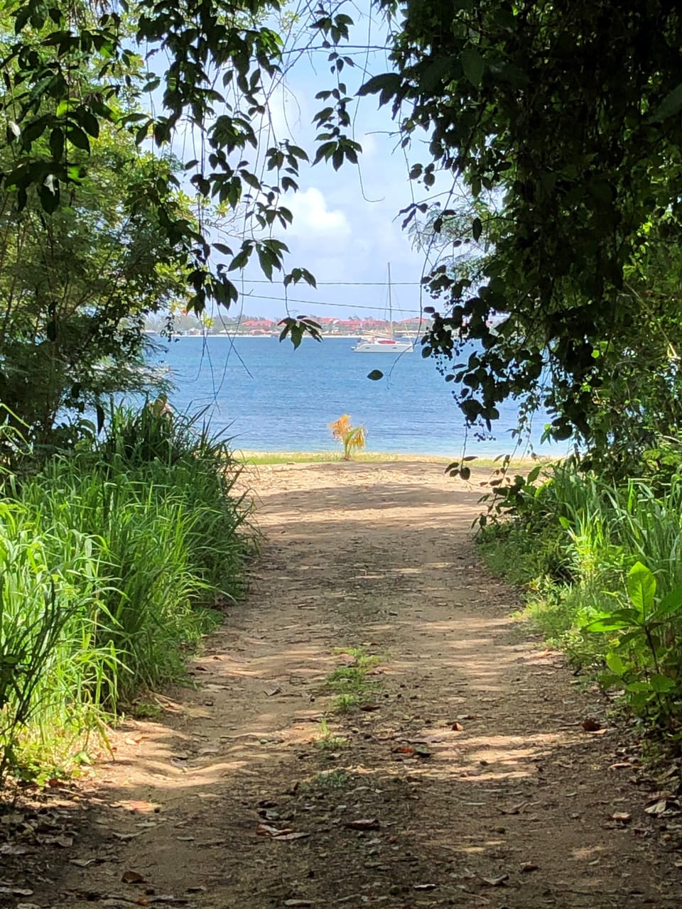 300 steps to the beach!!!  