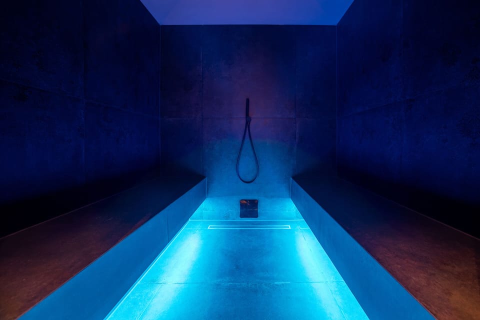 Sauna, steam room