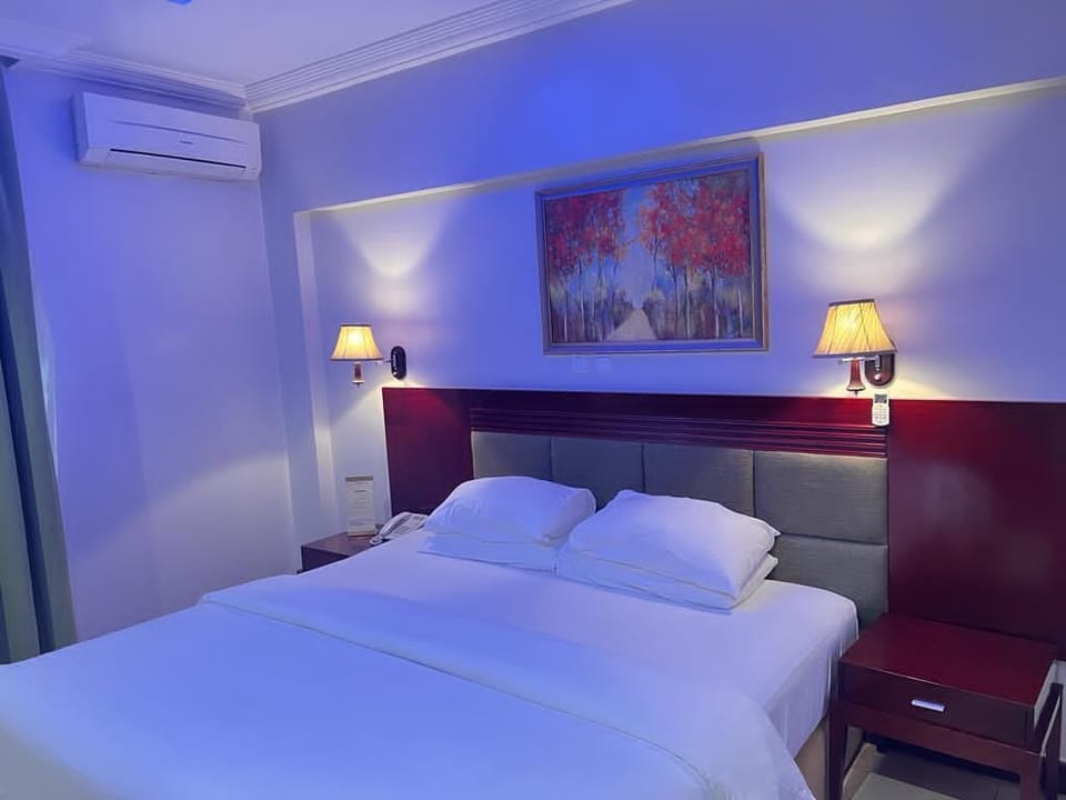 Executive Single Room | Desk, free WiFi