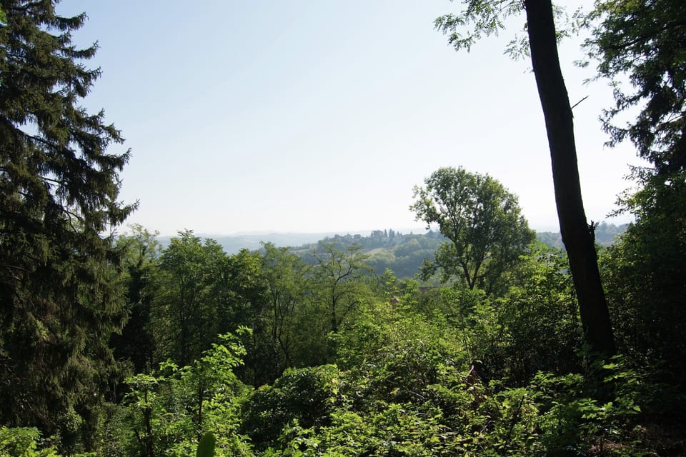 View from Holiday Home [summer]