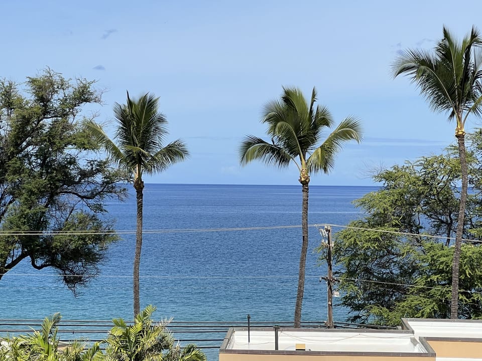 View from property