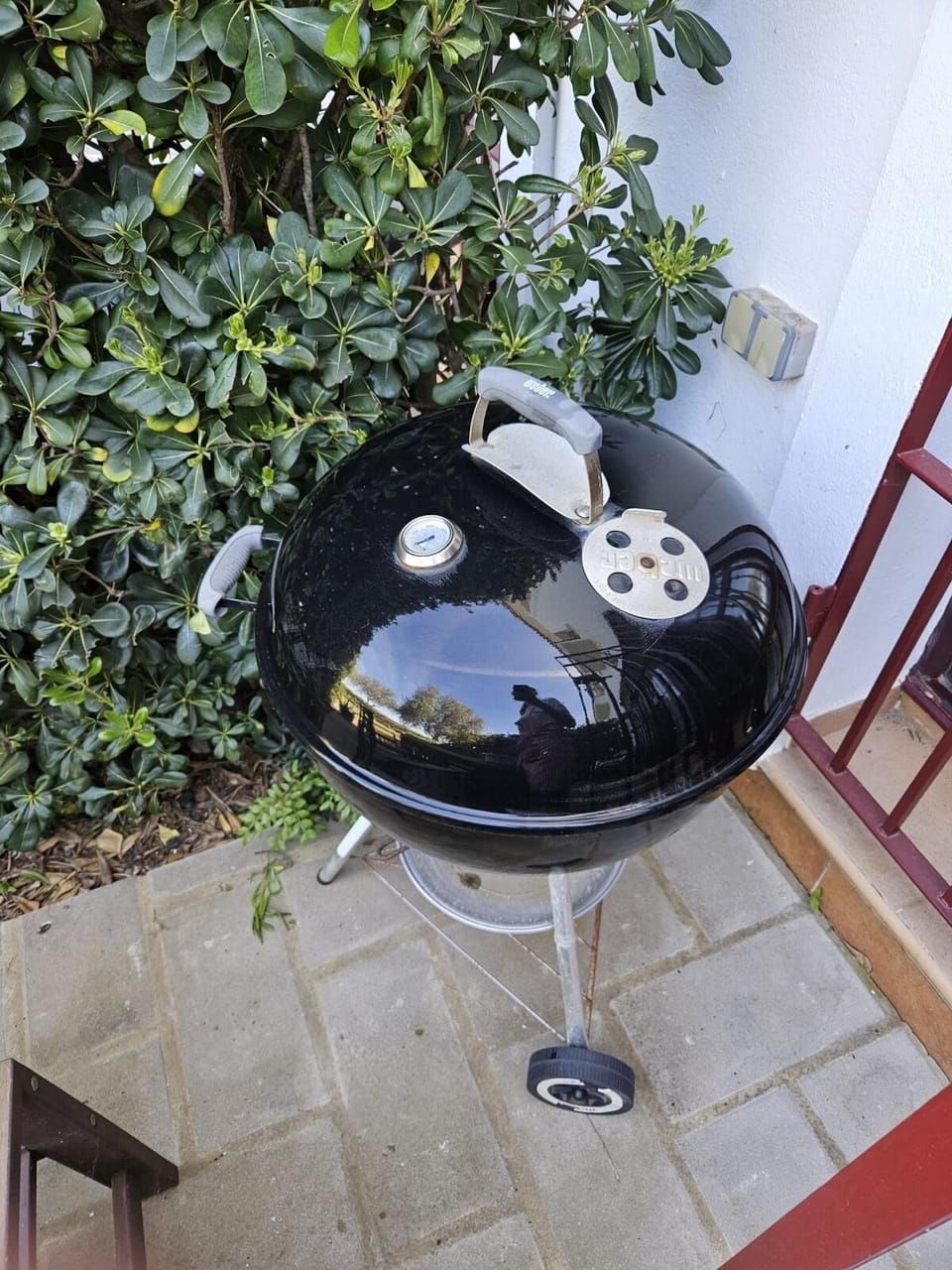 Weber BBQ