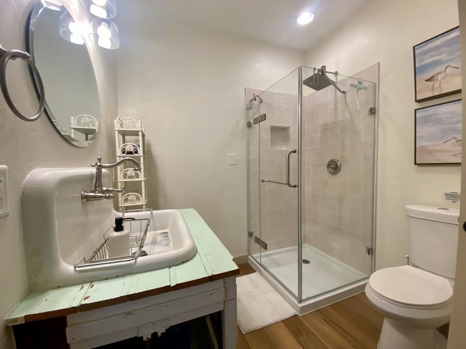 Vintage cast iron sink meets modern rain shower, blending old and new charm.