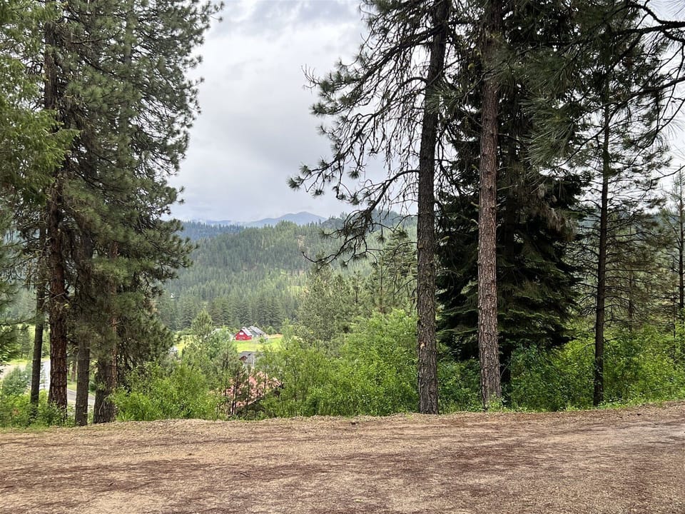 View from the Cabin