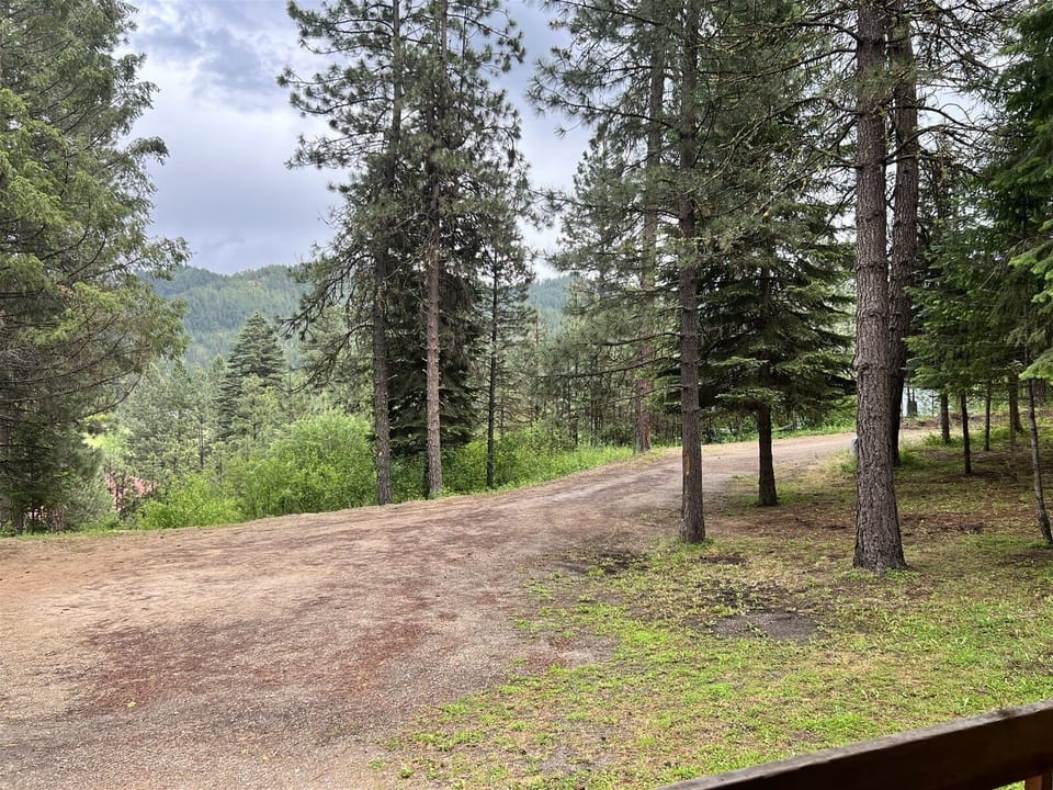 Surrounded by Pines