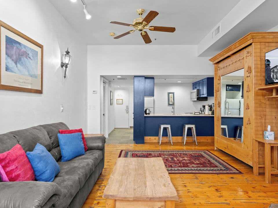 Living Area / Kitchen