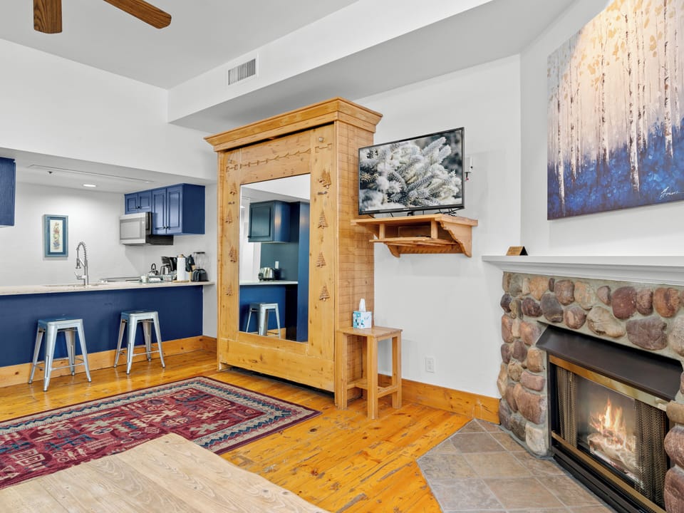 Living Area / Murphy Bed / Kitchen