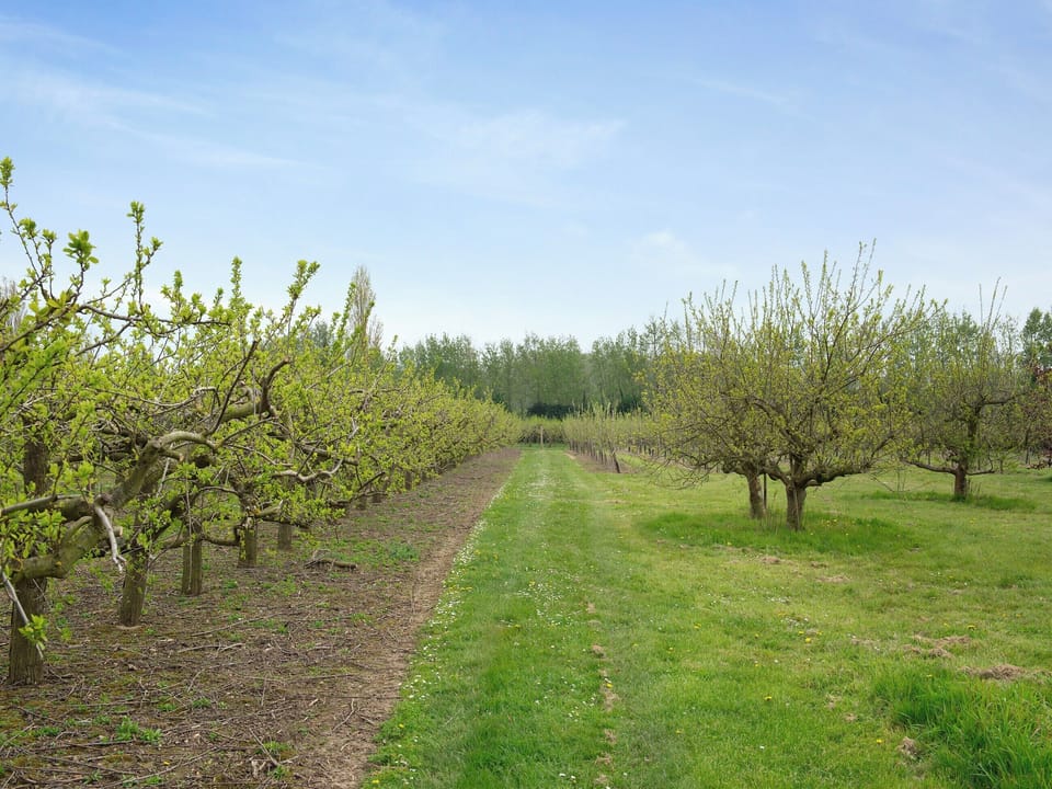 Surrounding area | Oast View - Santon Farm Cottages, Preston, near Canterbury