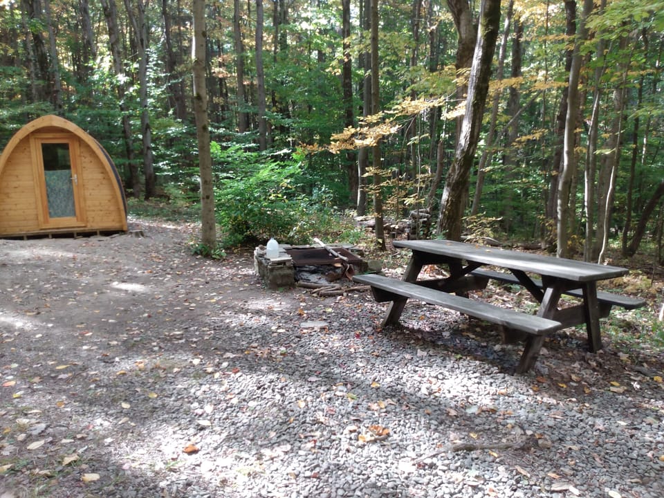 Fox's Den campsite