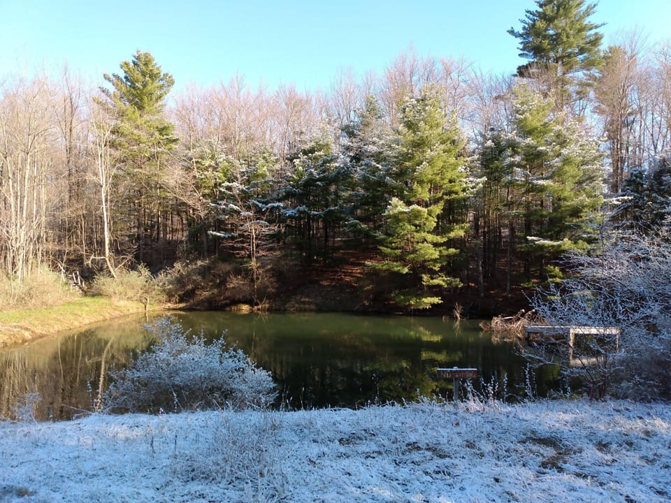 Wildlife Pond at Camp Earth Connection