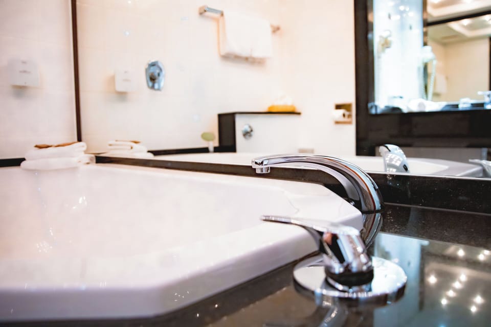 Suite | Bathroom | Hair dryer, towels, soap, shampoo