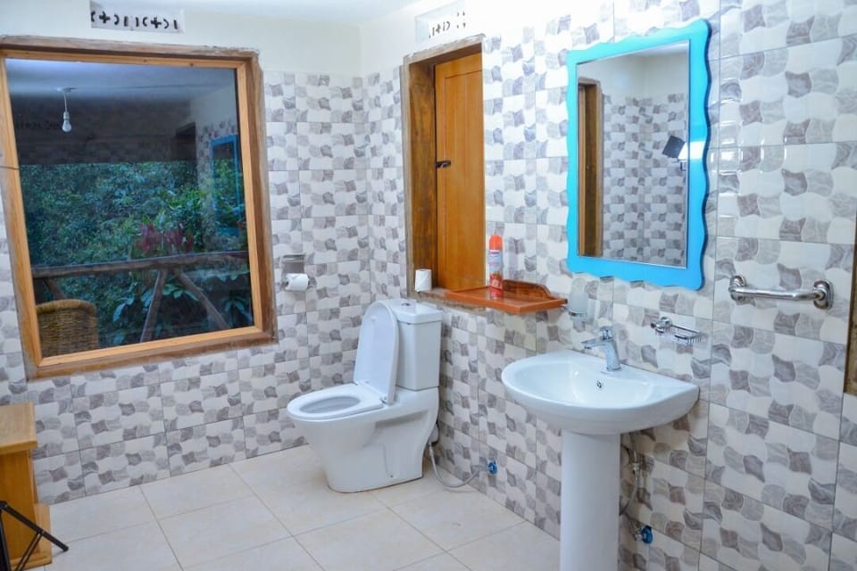 Standard Single Room | Bathroom | Free toiletries, hair dryer, slippers, towels