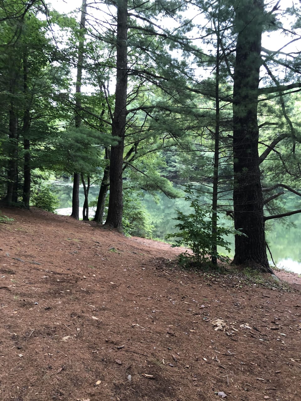 Hickory Run State Park for Hiking