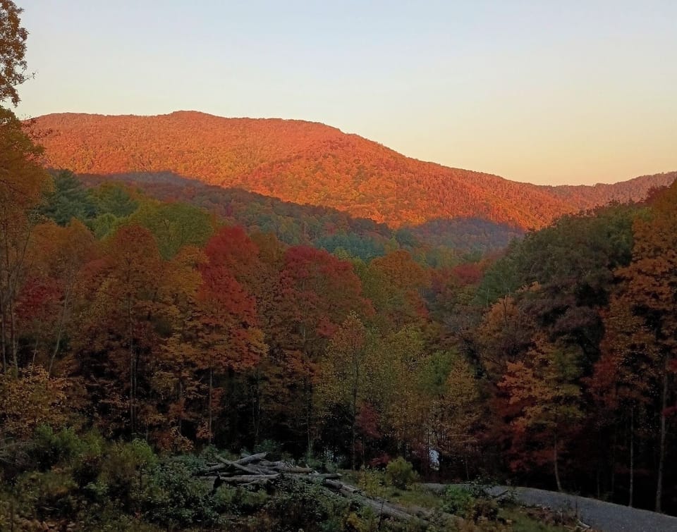 Fall Foliage - October 2024