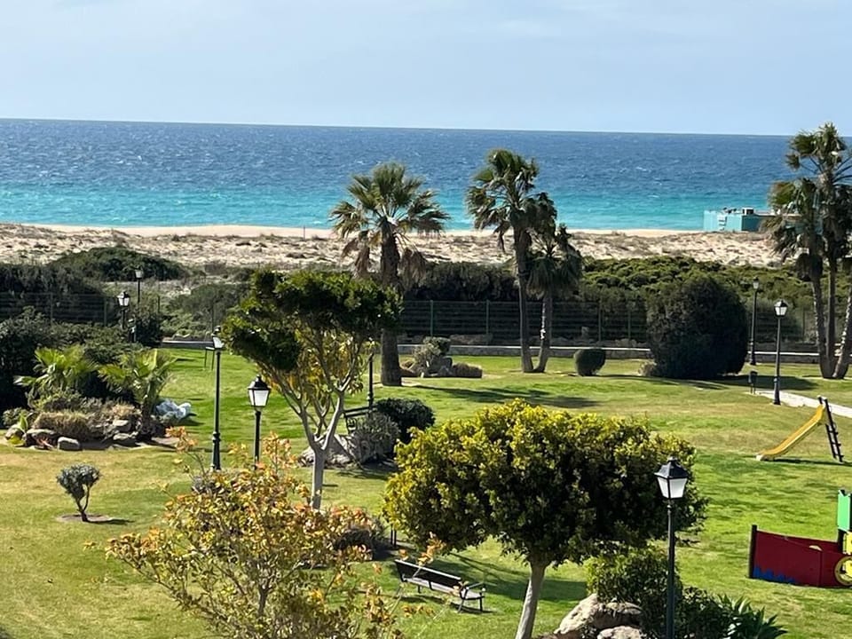 Endless Summer: 50m from the Beach