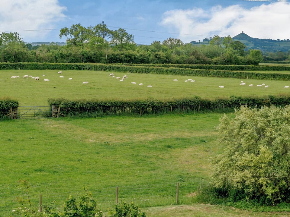Beautiful surrounding area | Mulberry Cottage, North Wooton, near Wells