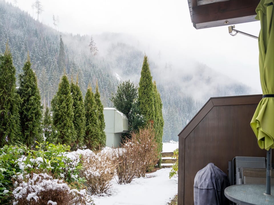 House | Garden
