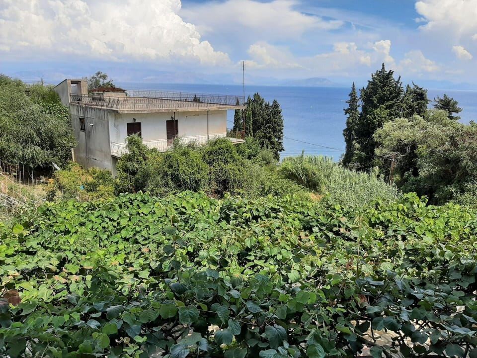 Apartment | View from property