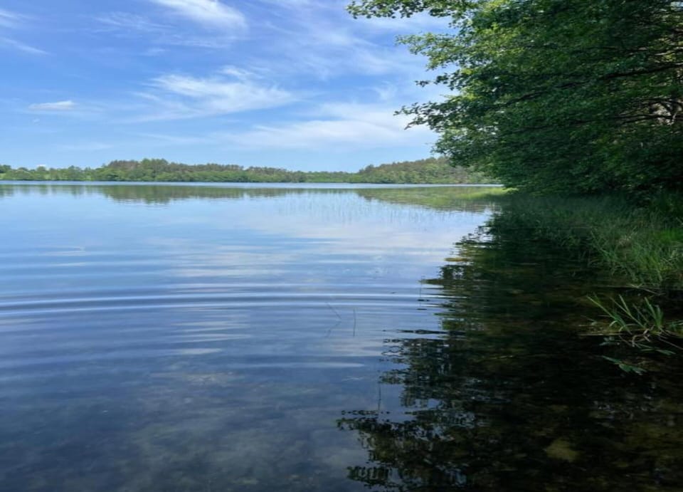 House | View from property