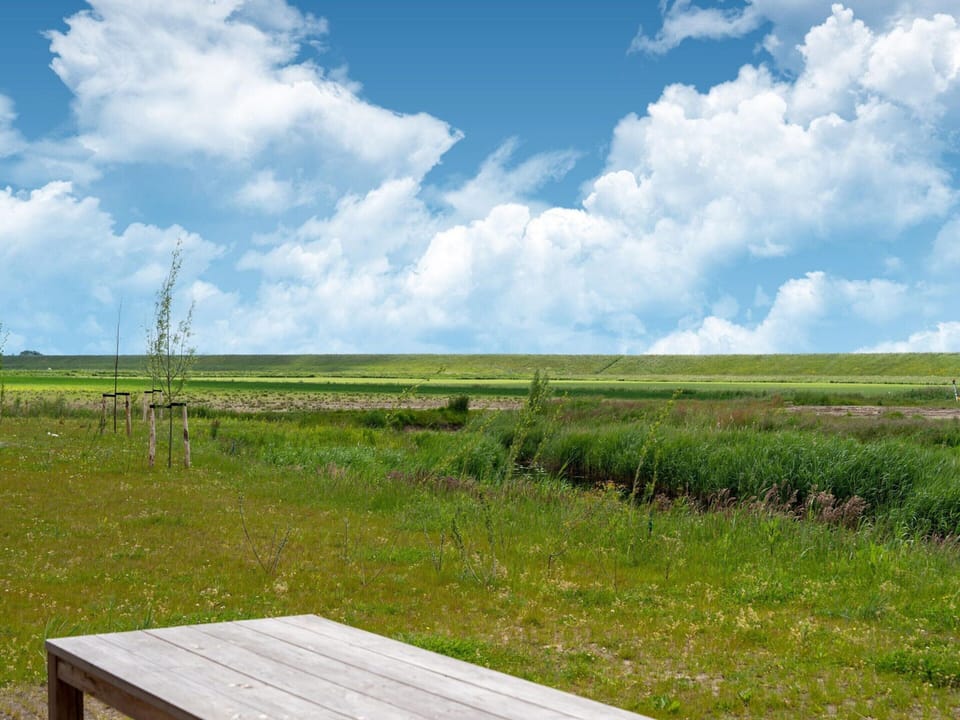 House | View from property
