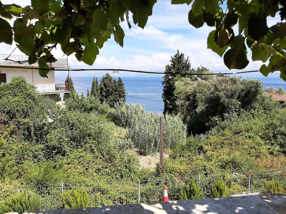 Apartment | View from property