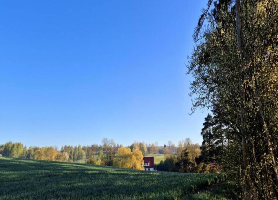 House | View from property