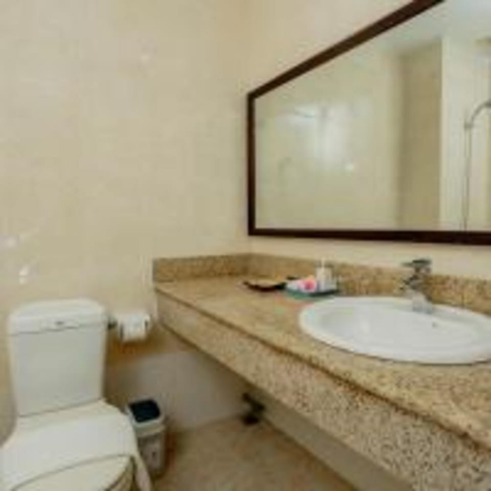Separate tub and shower, hydromassage showerhead, free toiletries