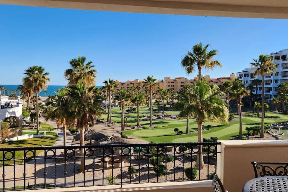 View from back patio