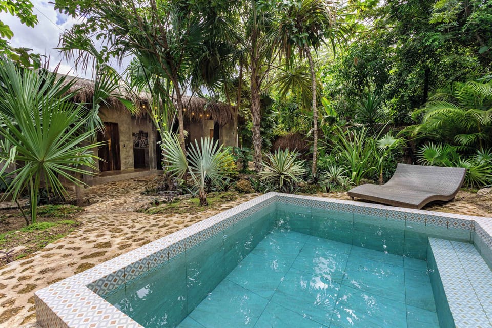 swimming pool in the garden