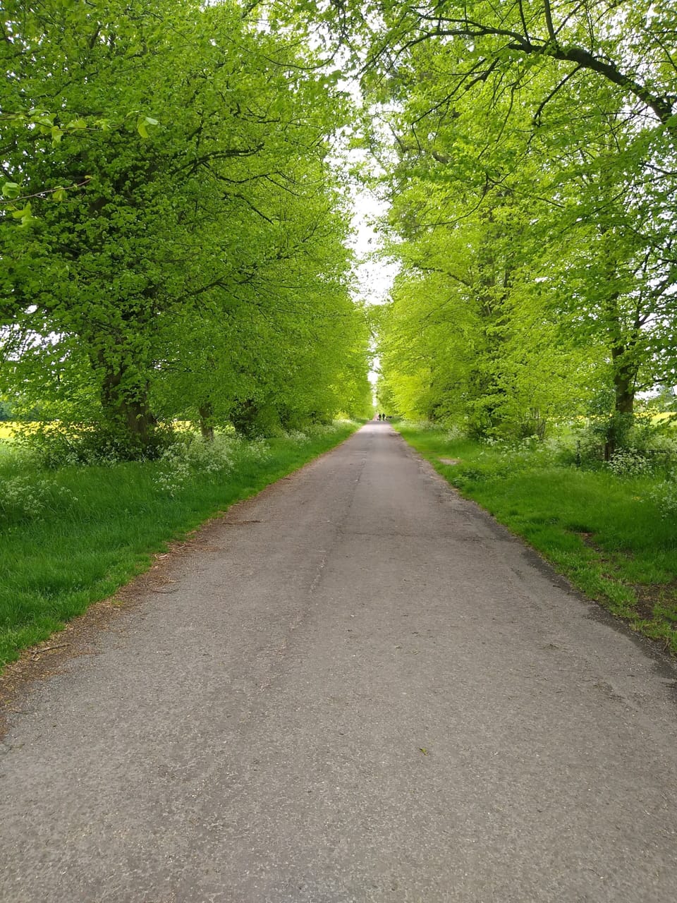 Kentwell Avenue