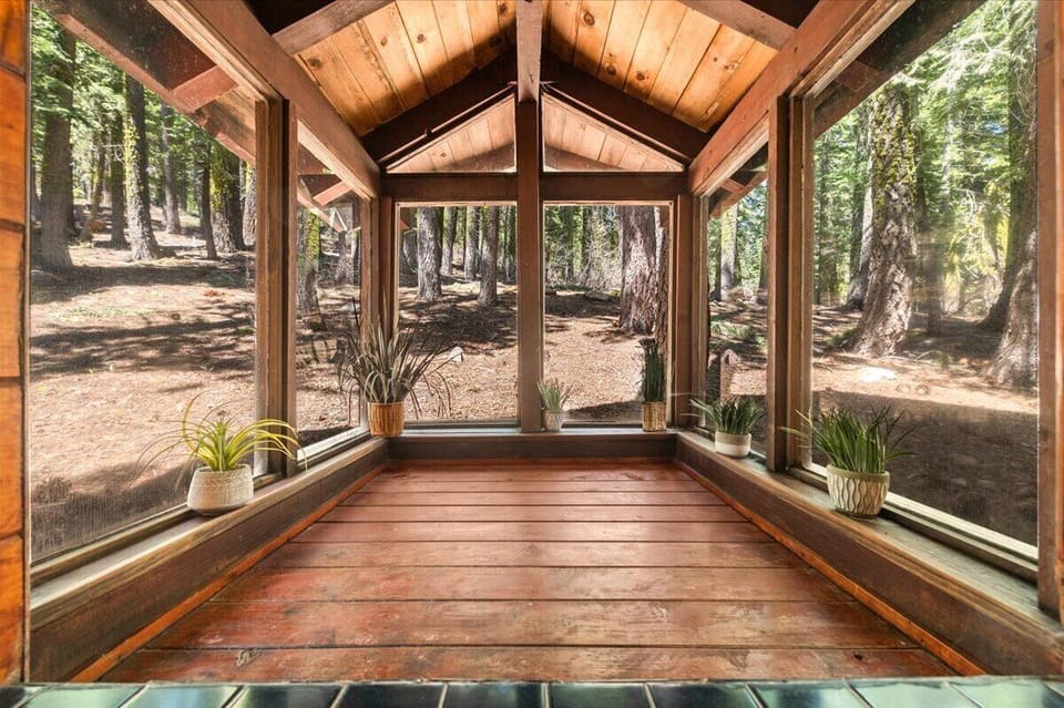 Views from the sauna shower looking into the forest. 