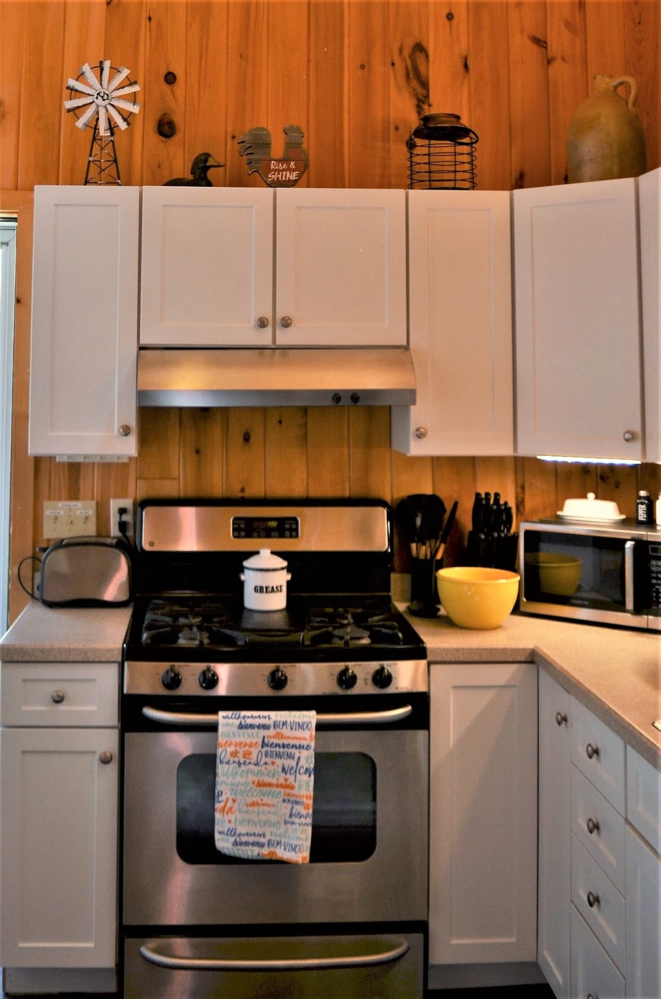Gas range/oven