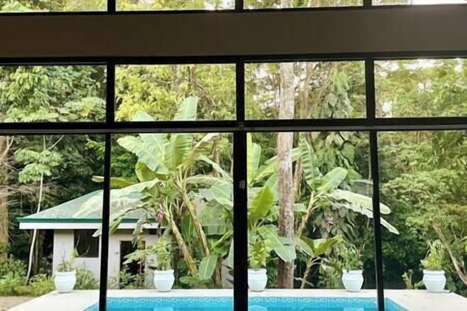 Pool, casita and jungle from the living room