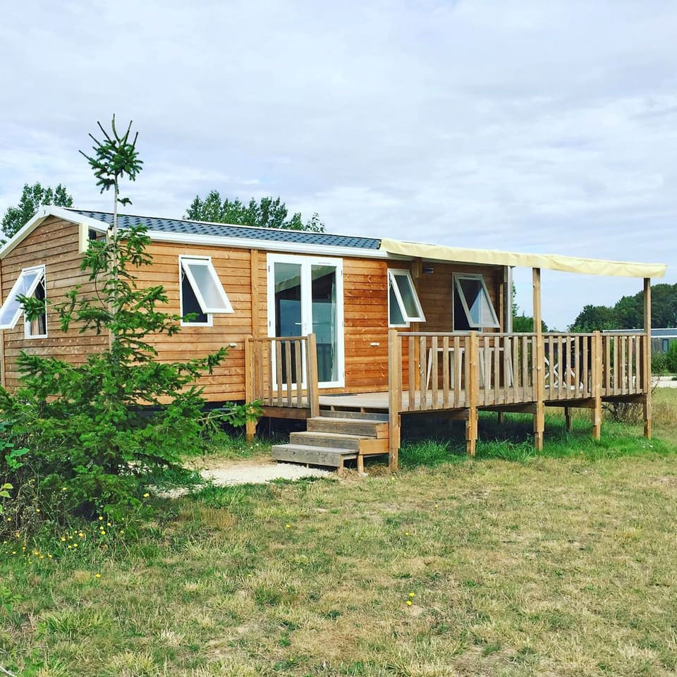 A playful paradise for our little guests.