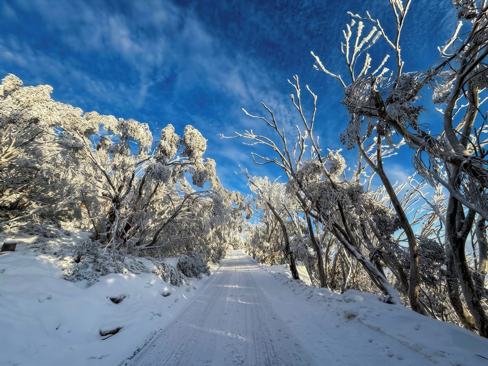 Scenic winter access road to your chalet – peaceful, snow-dusted mountain 
