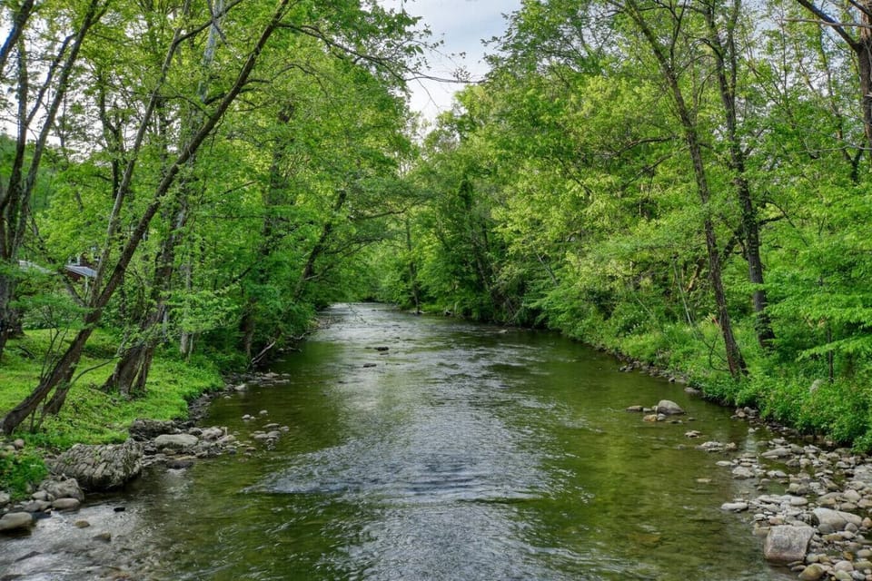 Creek