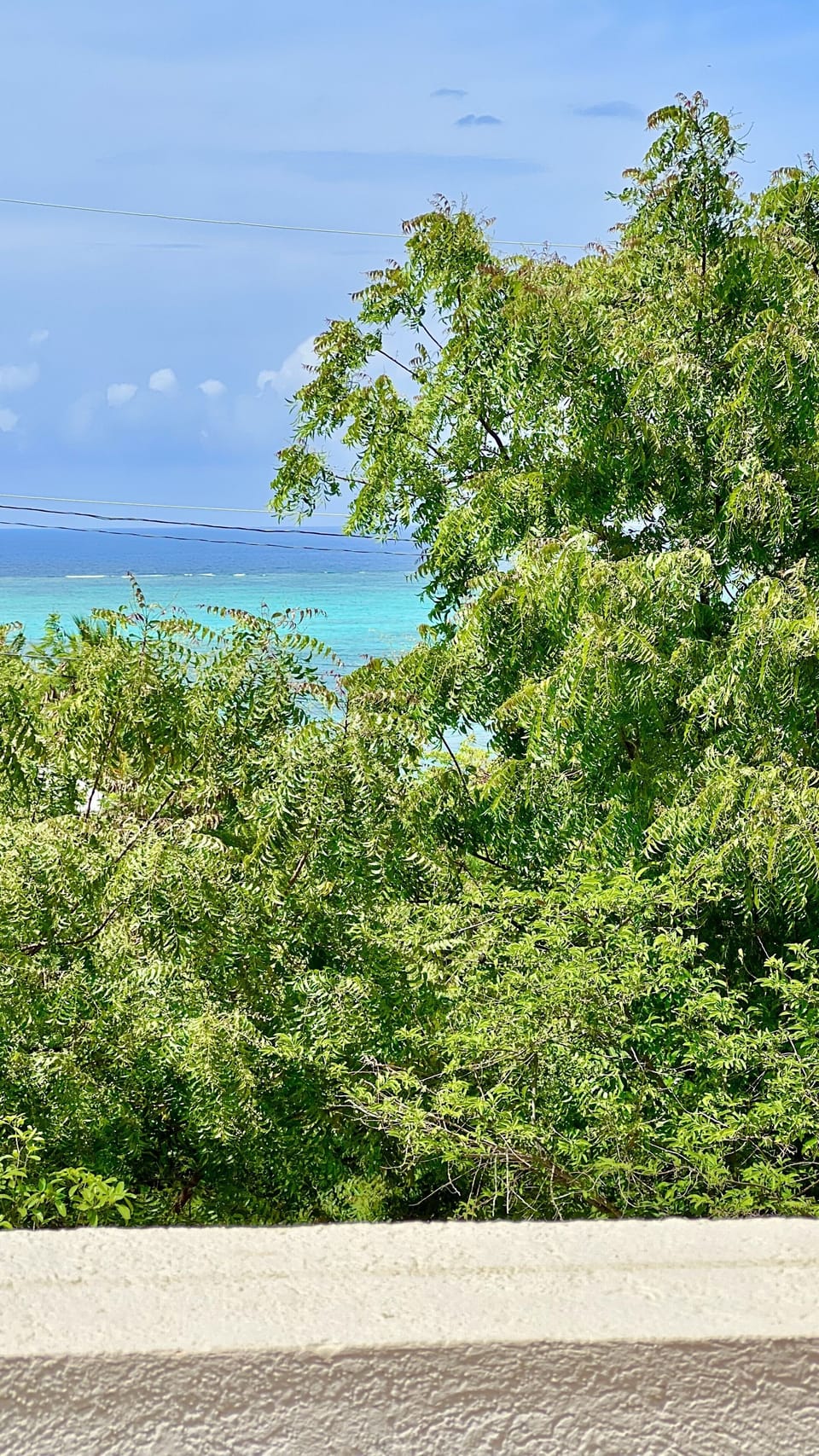 View from property