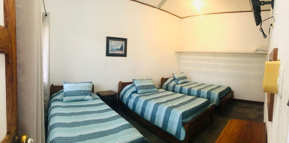 Standard Triple Room | View from room