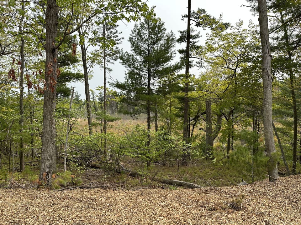 View of the Cranberry Bog on other side of the ridge.