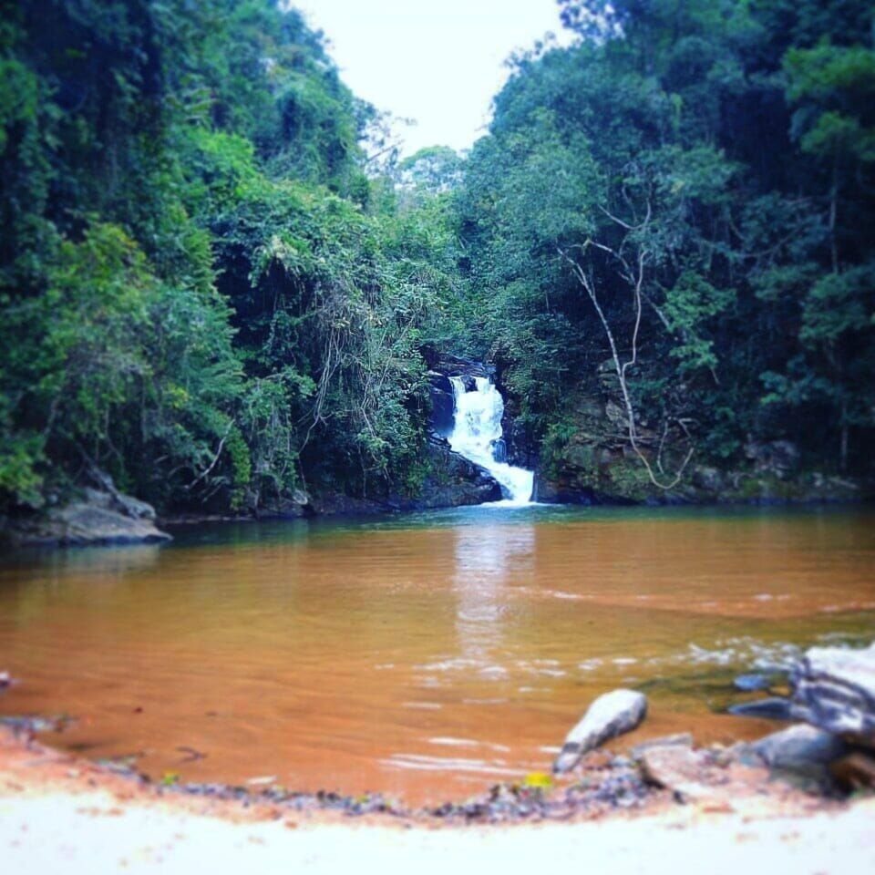 Ecotours