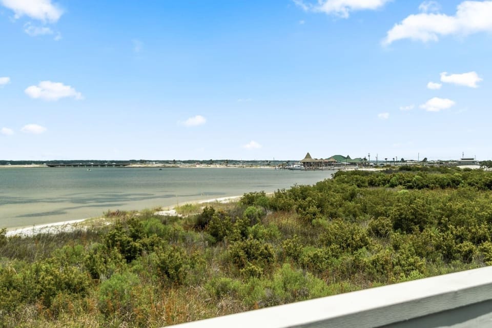 View from the living room patio