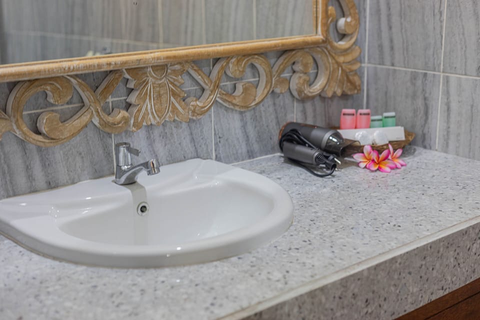 Deluxe Double Room | Bathroom | Free toiletries, towels