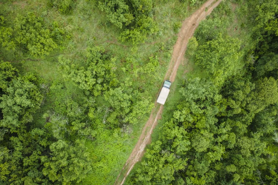 Game drive