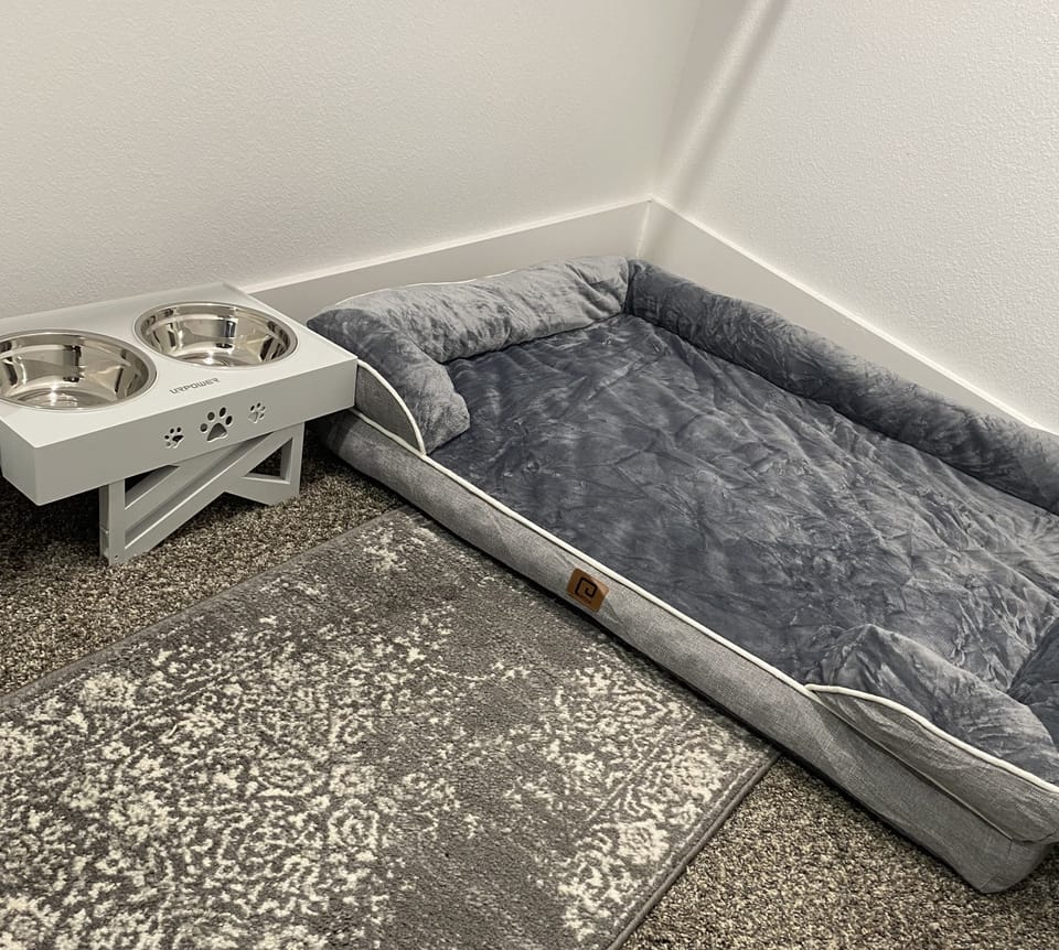 Pet friendly accommodations for your 4-legged family member