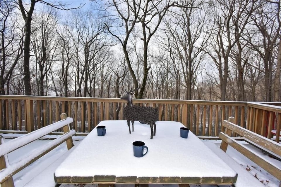 Deck, House, Porch, Tree, Vegetation