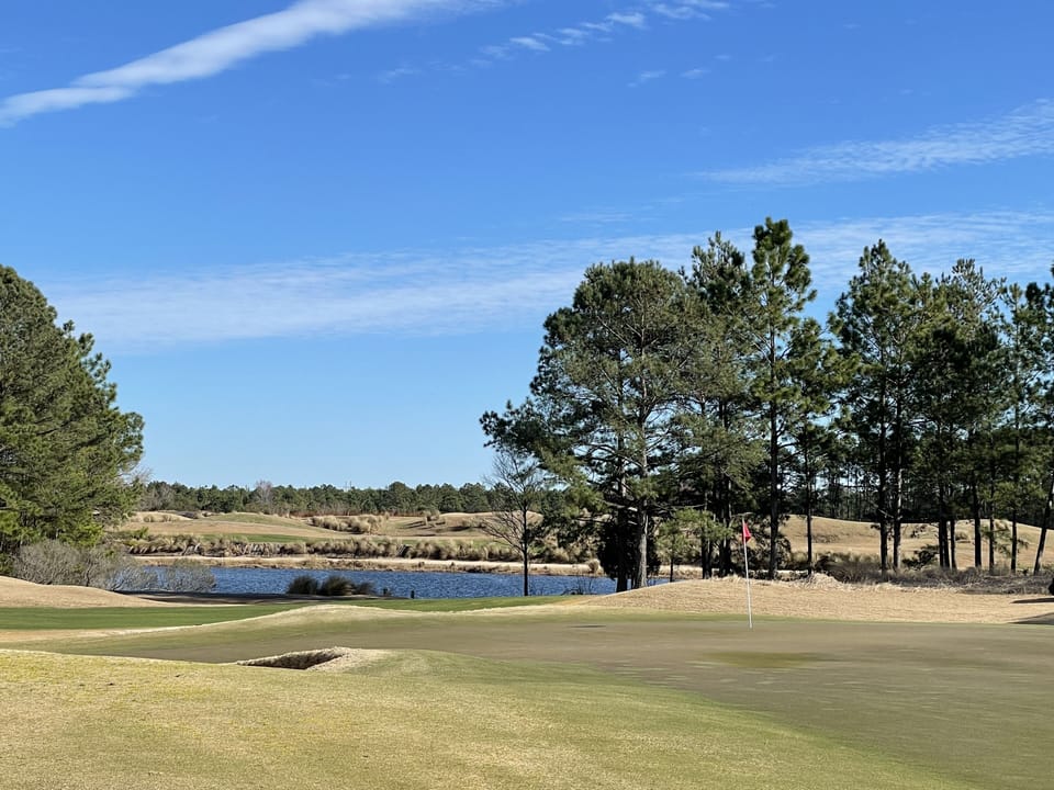 Heathland #10
