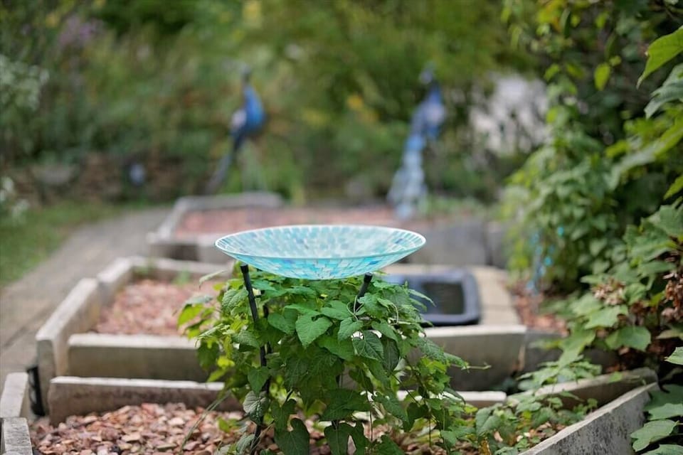 Tranquil garden details create a calming, nature-filled retreat
