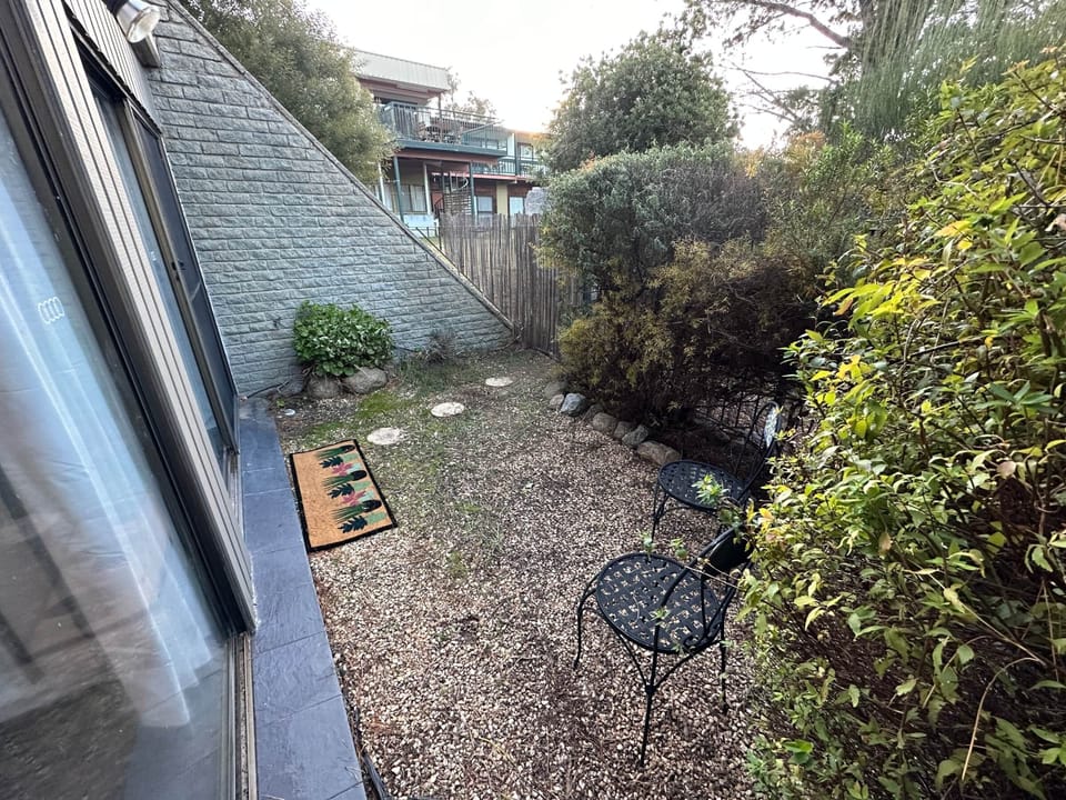Backyard on lower level (2)