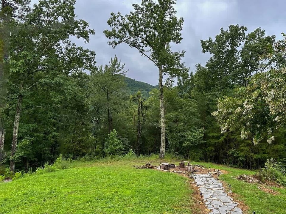 Nature view!