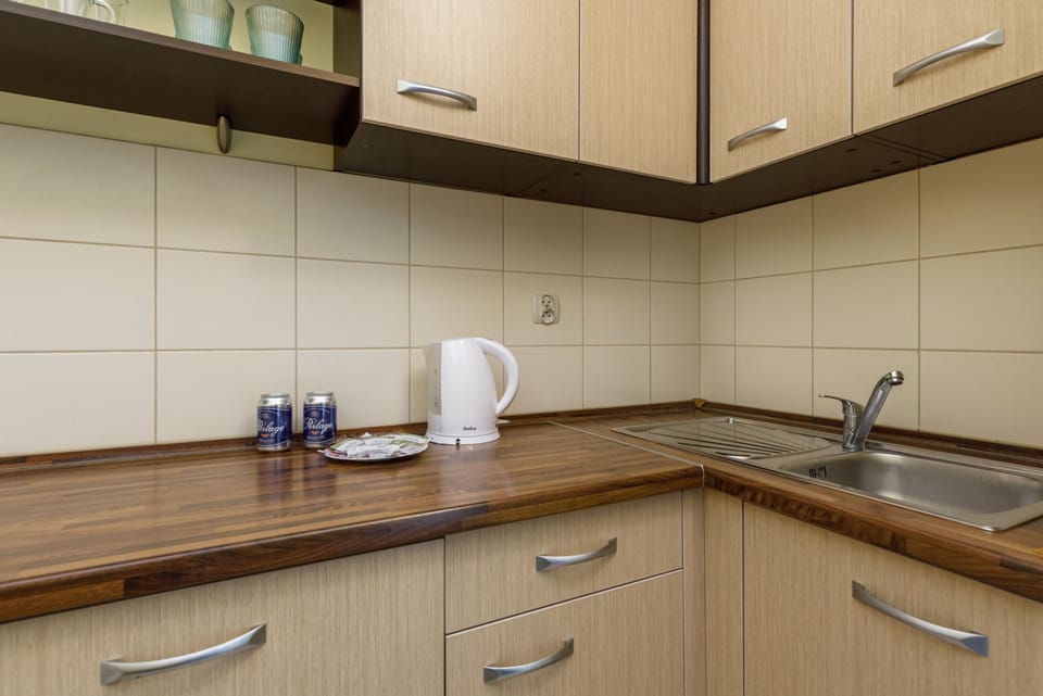 Kitchenette with plenty of kitchen utensils and dishes. 